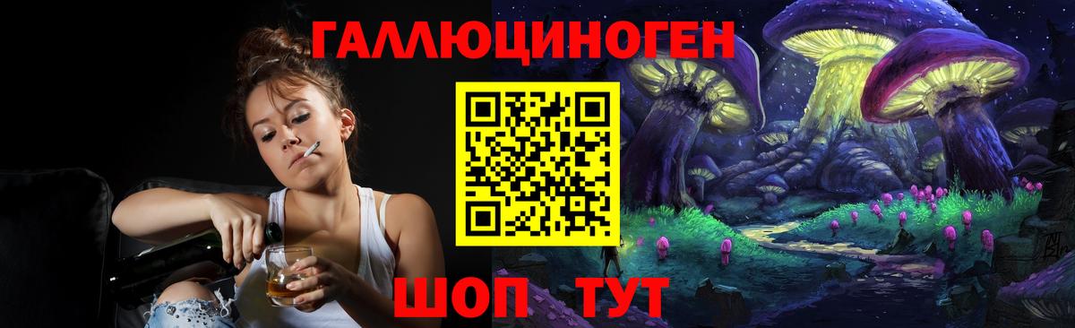 Псилоцибиновые грибы Psilocybine cubensis Сланцы
